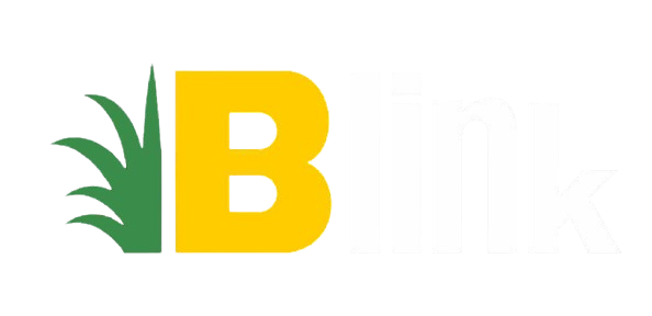 blinkinternationalopc.com favicon